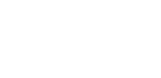 Данные не загружены